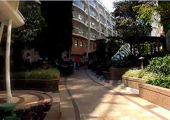 Paseando por Central Park… ¿en el Oasis of the Seas?