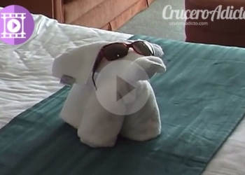 video-animales-toallas