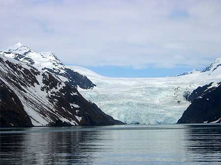 CruiseTour y Crucero Alaska: Fiordo de Kenai