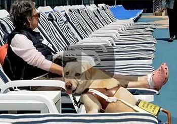 Perros Lazarillos en las excursiones de Princess Cruises