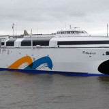 ferry Francisco Papa