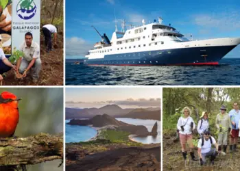 Celebrity Cruises planta más de 30.000 árboles