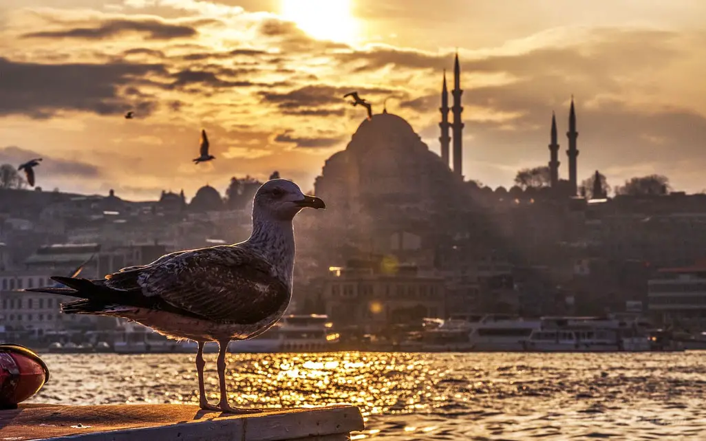 Estambul Turquía