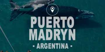 visitar Puerto Madryn Argentina