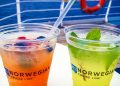 Norwegian Cruise Line aumenta el precio de los paquetes de bebidas