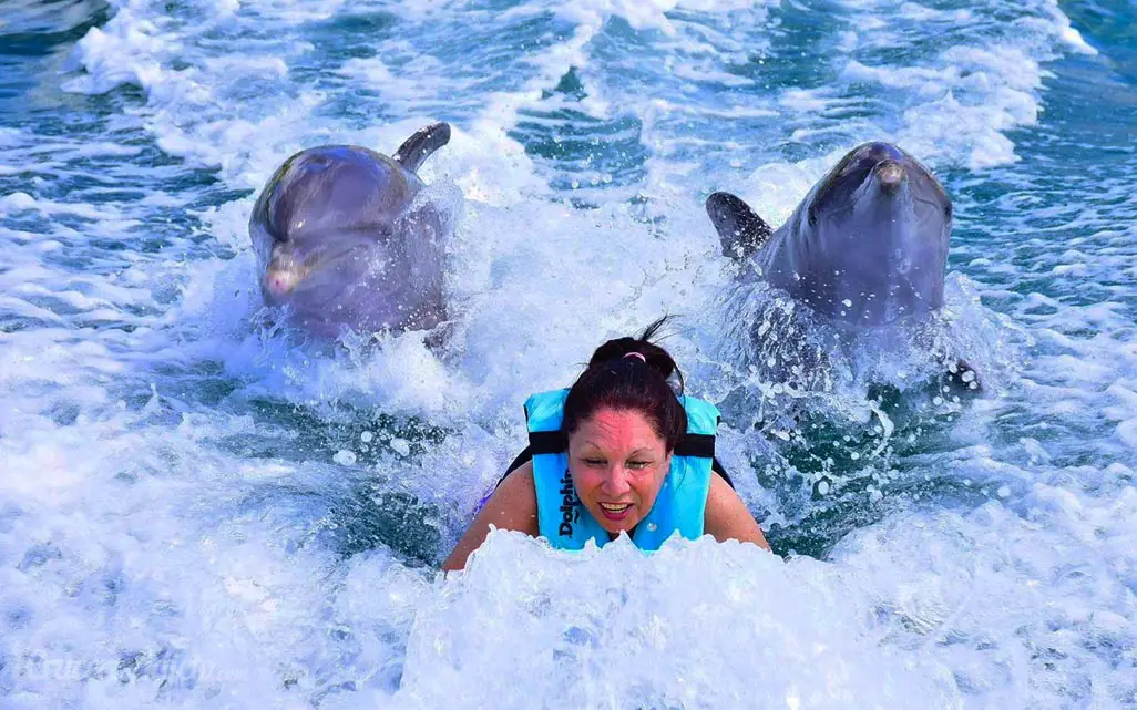 nadando con delfines Cozumel
