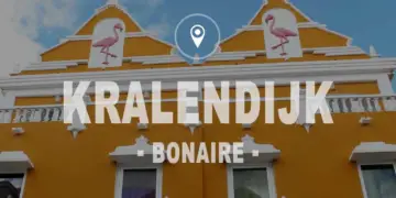 Visitar Bonaire