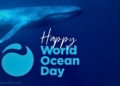 Día Mundial de los Océanos