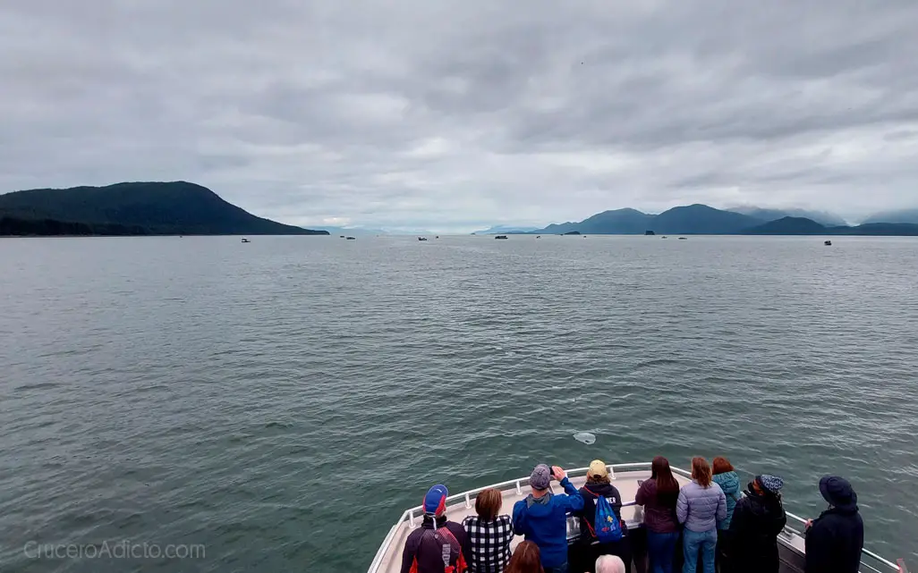 Koningsdam de Holland America Line, experiencia explorando Alaska