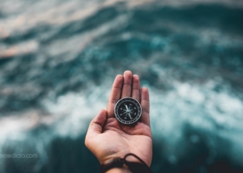 Descúbre con este test qué tipo de crucerista eres