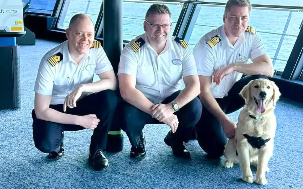 Rover, primer oficial jefe canino en un crucero Royal Caribbean