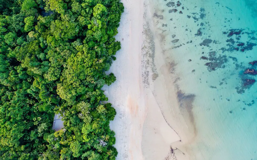 Daintree National Park